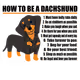 12711403281233503235350901474740150061992644308330849068750869883062988046337