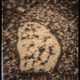 198416207321138745347640889096010663346300546590776800371943911119445295105
