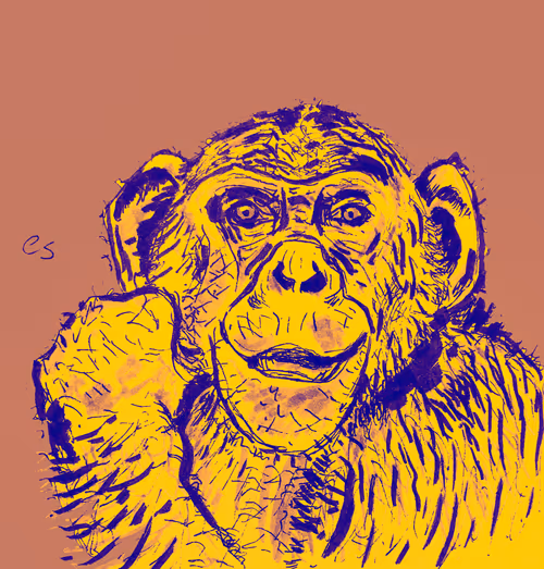 Item #39091703505809475788956350880894769302011138939225893693019847042075558150145 Media