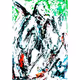 Untitled Collection #77891862