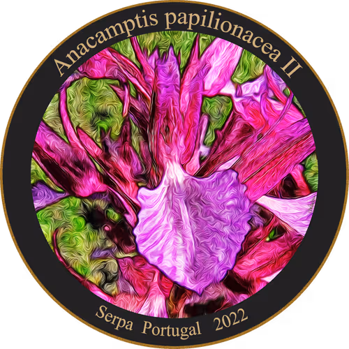 Item #83346383481971607988729477170446348570292642791419063456680174227567692218369 Media