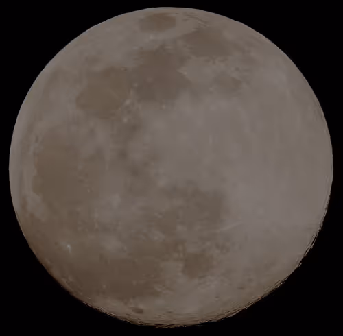 Item #82352148547712730378056518468555846934724663755417753770069022594135220027393 Media