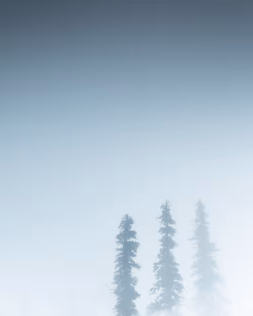 Item #100125324817140700473098673733568876555088890877521994710768706039717421907969 Media