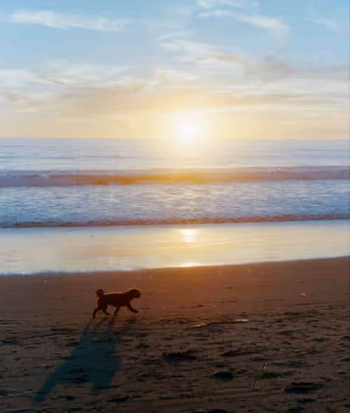 Item #106417394361020955117675115732535551445330228798132491343226919512649473458177 Media