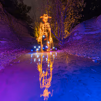 Item #96454934668826913765473452826833807679128195538625319977378074581375586926593 Media