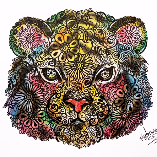 Animal Special Collection