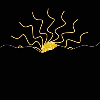 18281967664937255820266853515245885772187896909094683957204161908955812986881