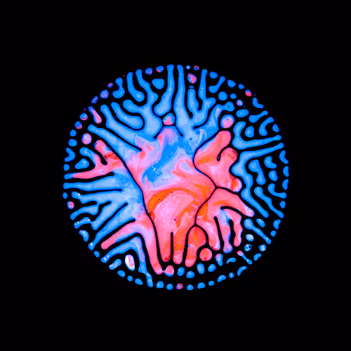 Haematopoiesis