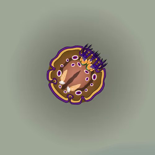Item #115509473278659702230249064783210320623027172606386605356272616585357948878849 Media
