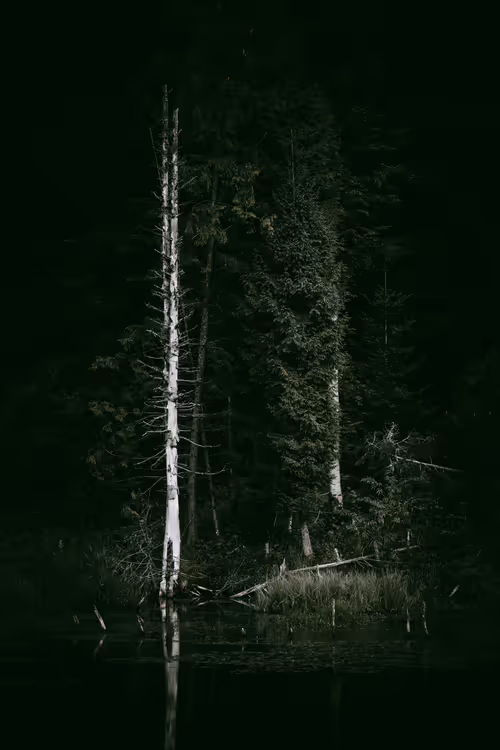 Item #46709965239587215851558087466762379659612403751449934923508460073710363082753 Media