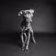 Shelter Dogs by Butch McCartney