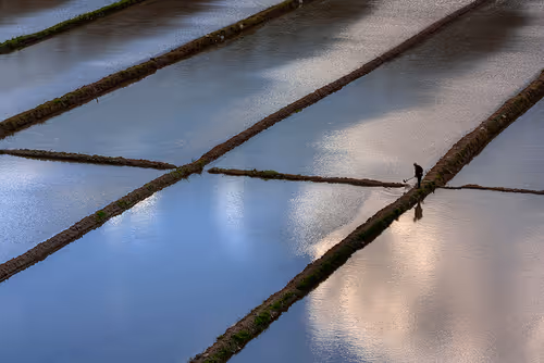 Item #21360135595636761708002264298030741123237362591555506440031731752678574784513 Media