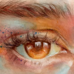 Eye
