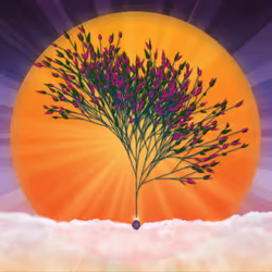 57009555572129949968037836061383916208458381598981093971084421891534998208513