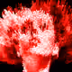 58558989567718835385269581663990115597399410702388056697279097049901768376321