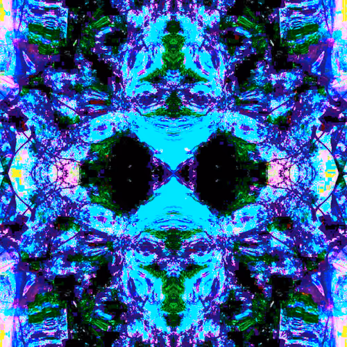 81335810380546067592074661371981709571494442828138360360358581722157590516616
