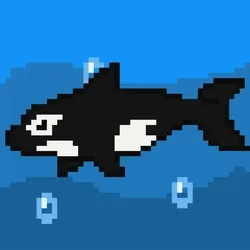 Killer Whale