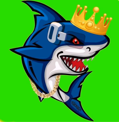 Item #40244392509954330522877384707556770693084347905831152942034397267654244040705 Media