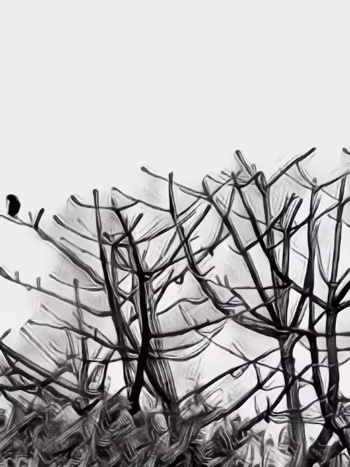 Item #31599401183464335974945825911576278445474330041113102693216658161811958267905 Media