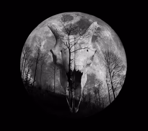 Item #40160686583094733528677484039903516258611509642019211679321071377005840171009 Media