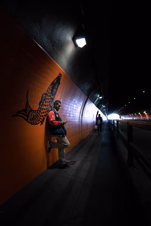 Item #22380822880750469679607150943500114050327895572865979621959590968444422455316 Media