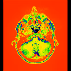 64162533542198579898252916190583583845604629893829087458582975923913389768705