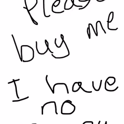 I have no money