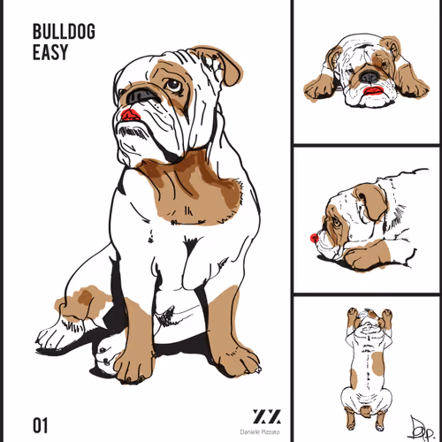 Orphan Bulldog