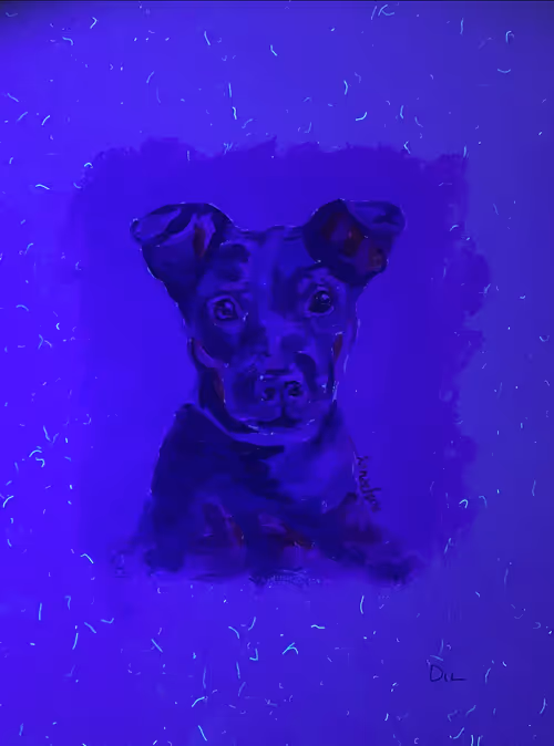 Item #75519943084771692975334897991846695026240484534704423663291757725864018575361 Media