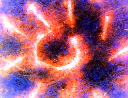 Item #71646257518770613568983710813551014237803002136866425209291834323162214957057 Media