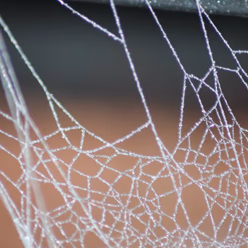 51124555051901614330264480006545612592022390906904121289505624551413608611841