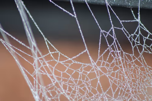 Item #51124555051901614330264480006545612592022390906904121289505624551413608611841 Media