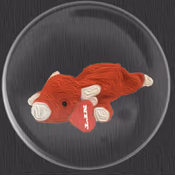 41776025324002017952572422073316458441069080831023694546850786497676873564161