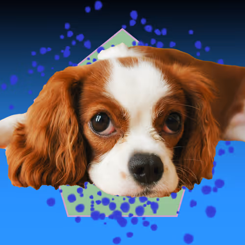 Item #52268251609148313723694636350380869011371331496130941392669191410294426959873 Media