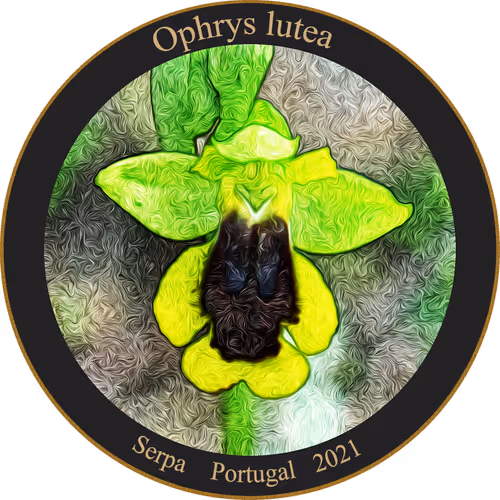 Item #83346383481971607988729477170446348570292642791419063456680174204477948035073 Media