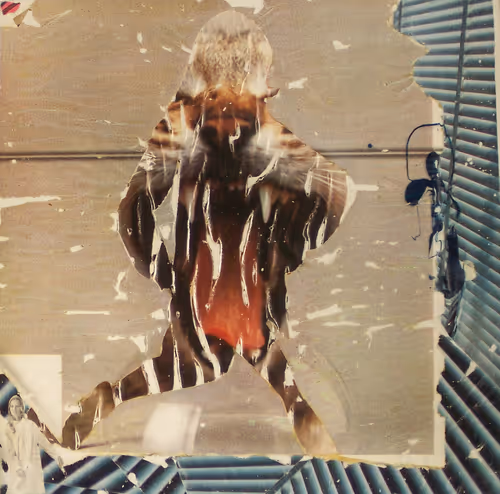 Item #2516007715202185053718990134291191675195070426454176286317332370126071136257 Media