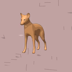 Fox #14