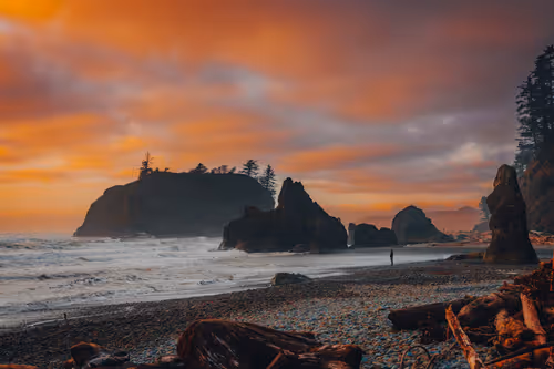 Item #68893585543807319925330967808538718473616889989347730596649157803023446048769 Media