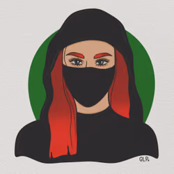 The Ninja S2