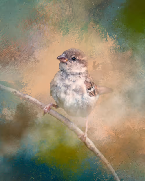 Item #20879904977050231781978559907445915739532146362246903749837269834743542710273 Media