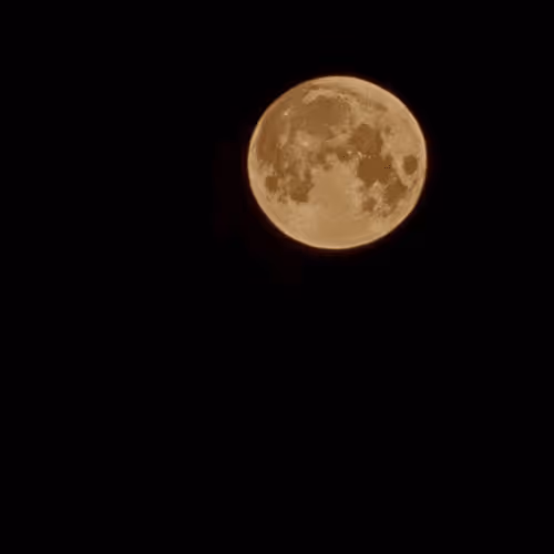 Rousemarie Collection