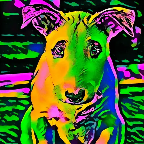 Item #50830097462543580601473563981388698009005024090223633461481090401179879342180 Media