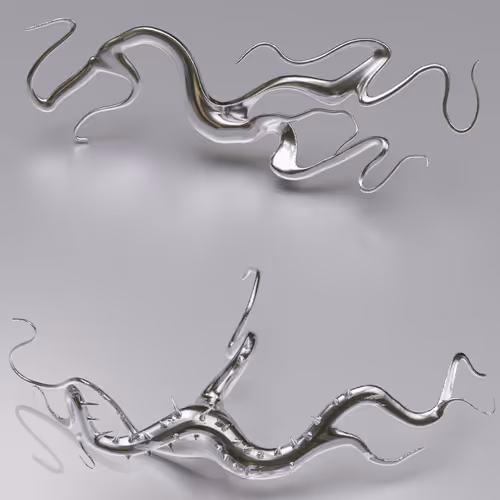 Item #88322425009921281567238513380053624465260907705684866799039687852485370707969 Media