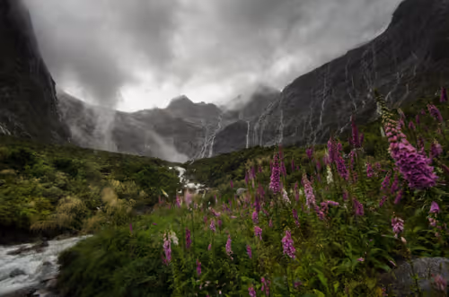 Item #108547290172068983727785202246252609350304201814617164826611776934773432254465 Media