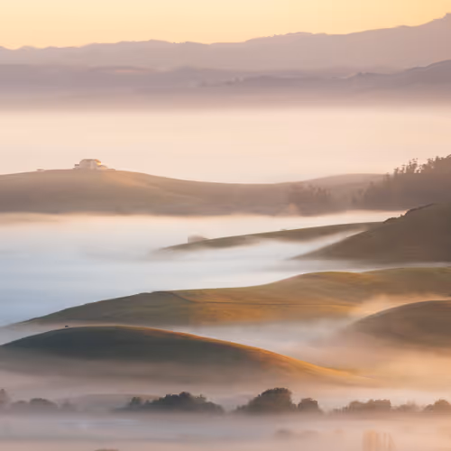 A Symphony of Fog #13