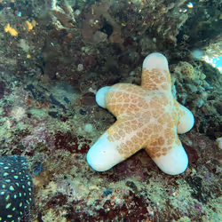 80965803268169370603932631570667161375508893671094224909166964180988505096193