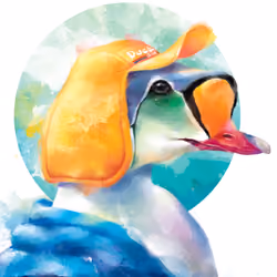 Sea bird duck