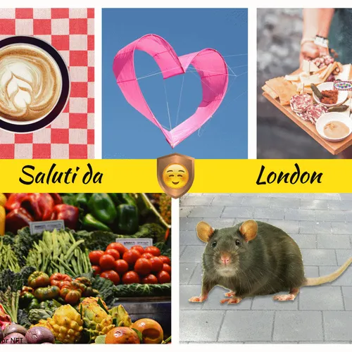 69046647551876631812407603757465421868469504969916764237364829793282353528833