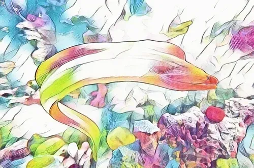 Item #23005389916031419495497068831589288009900632785309905146382068101288411791361 Media