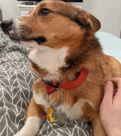 Item #85894242457474769243523977295892064750808525477753530249274558166701281640449 Media